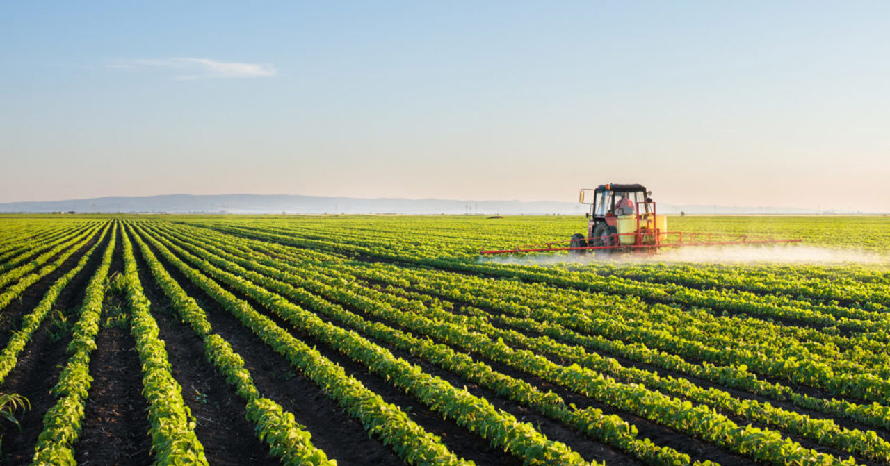 Guvernul a alocat 200 de milioane de lei din fondul de rezervă pentru a susține producătorii agricoli mici și micro