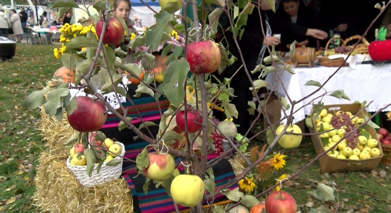 Festivalul Național al Mărului de la Soroca, la a 14-a ediție. A reunit producători din întreaga țară 