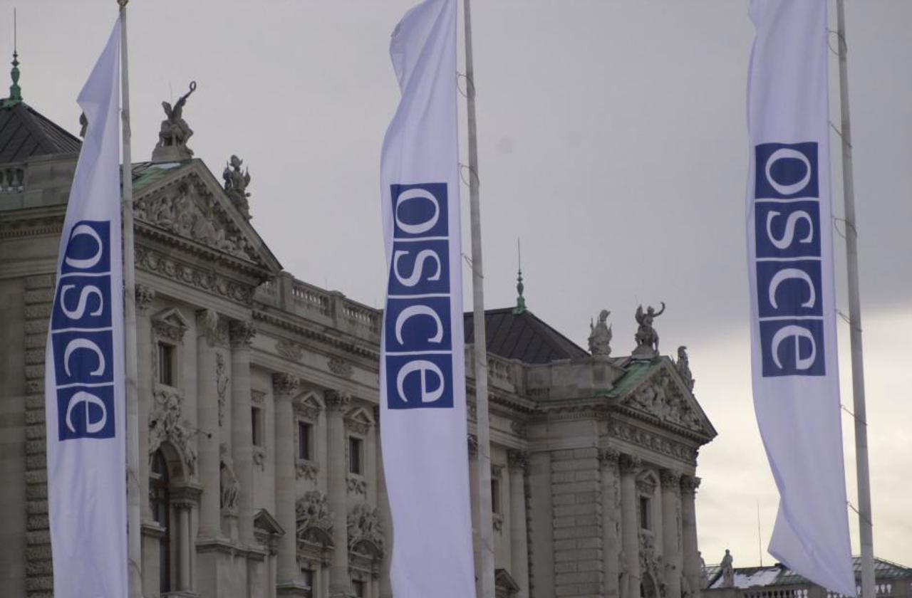 Moldova Lawmakers Attend OSCE Meeting in Vienna