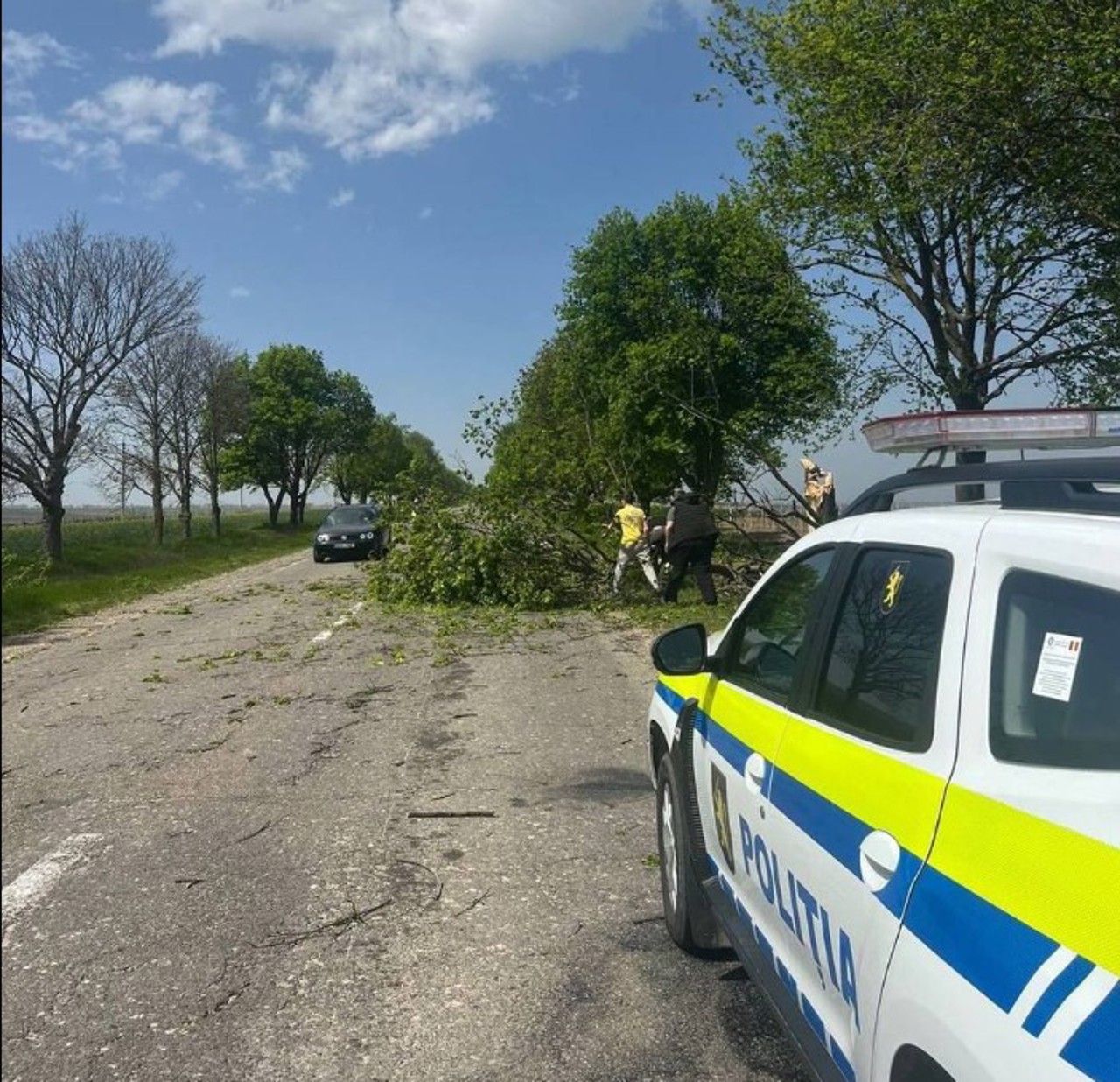 Vânt puternic în R. Moldova: Copil de șase ani, rănit grav de o creangă căzută la Grădina Zoologică