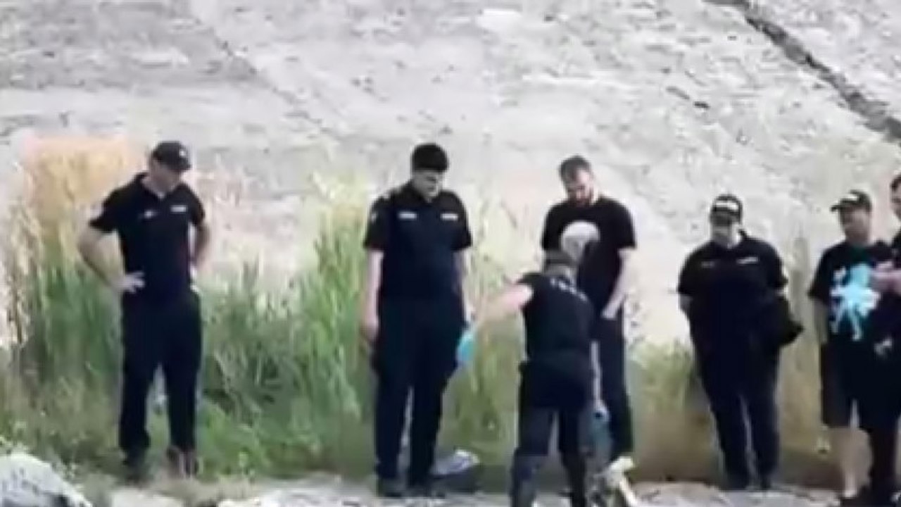 Captură video