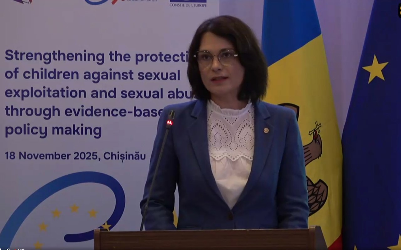 Daniela Misail-Nichitin, ministra Afacerilor Interne