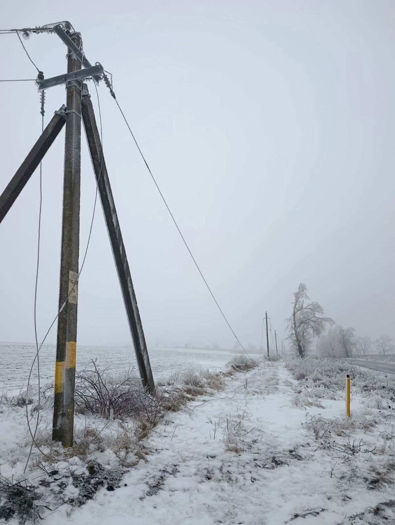 В Молдове тысячи потребителей остались без света из-за непогоды