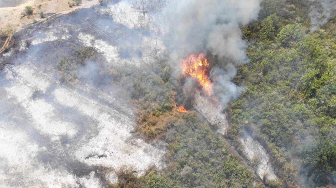 O pădure din Cahul – în flăcări. Primarul face apel la voluntari să ajute la stingerea incendiului