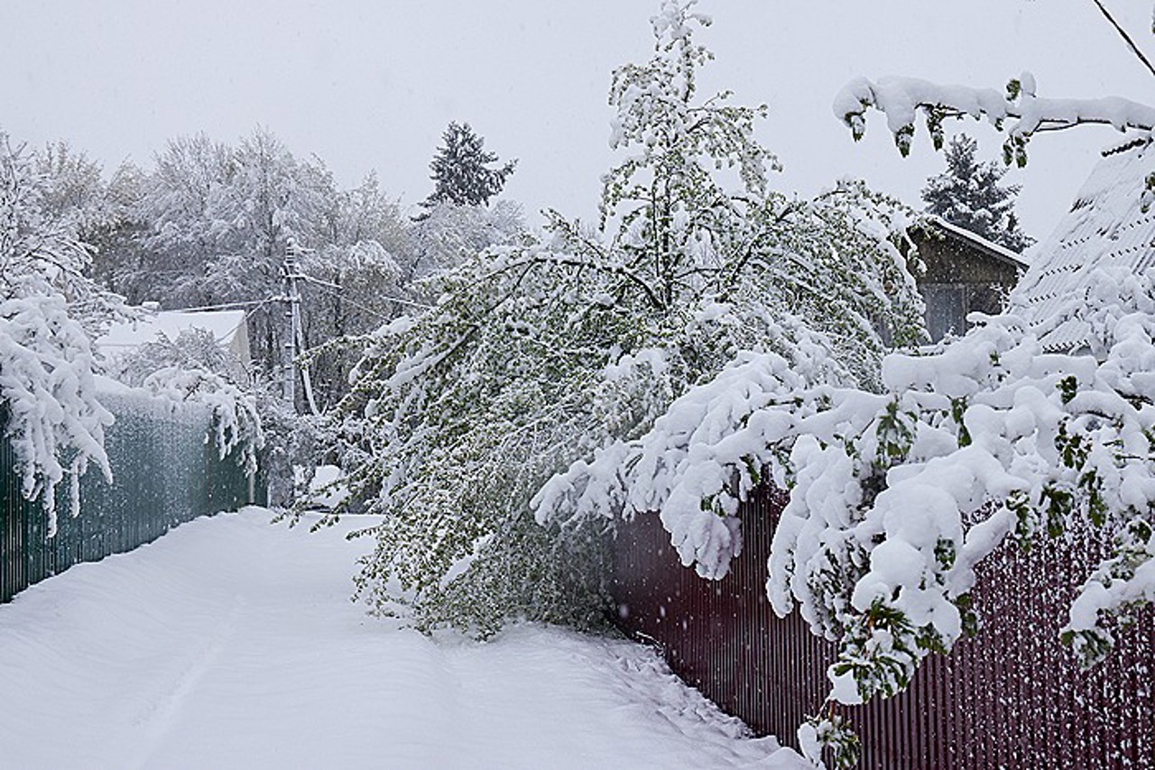 Ninsoare în luna mai: peste 26.000 de oameni au rămas fără curent electric în regiunea Moscova