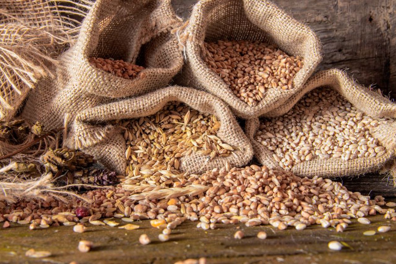 Restricțiile la importul de cereale și oleaginoase din Ucraina vor fi prelungite până la sfârșitul acestui an