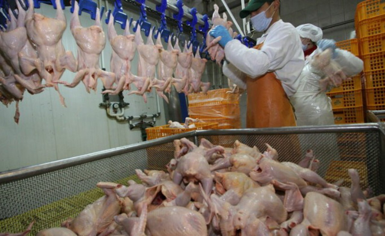 ORDIN | R. Moldova suspendă temporar importul de care de pasăre din Ucraina