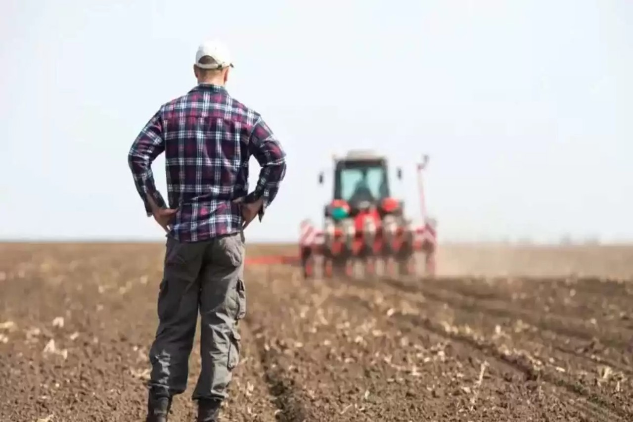 Moratoriu, subvenții și obligațiuni de stat - planul autorităților pentru salvarea agriculturii. Reacția fermierilor