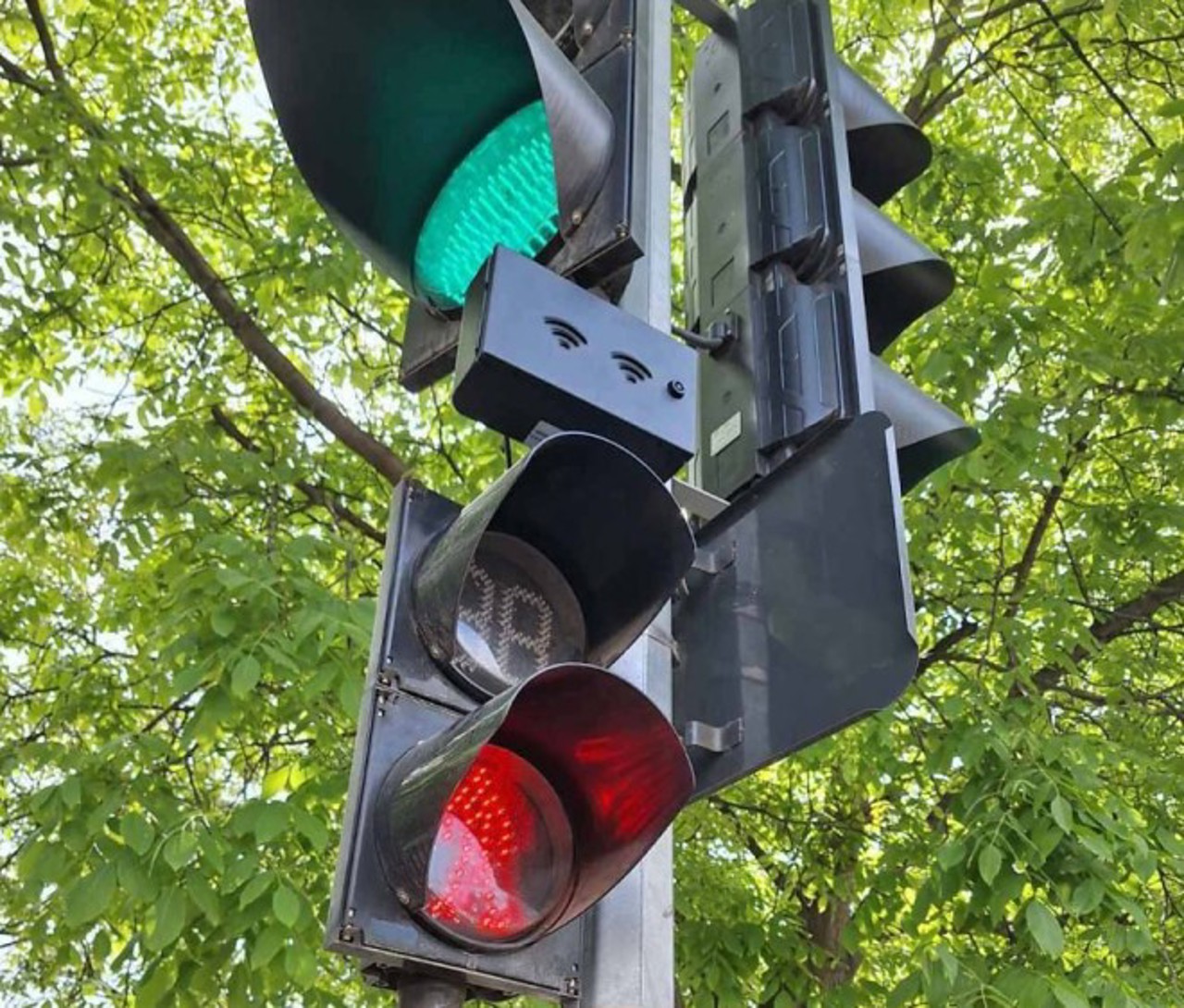 Semafoare care „vorbesc”, instalate la trecerile de pietoni aglomerate din Chișinău 