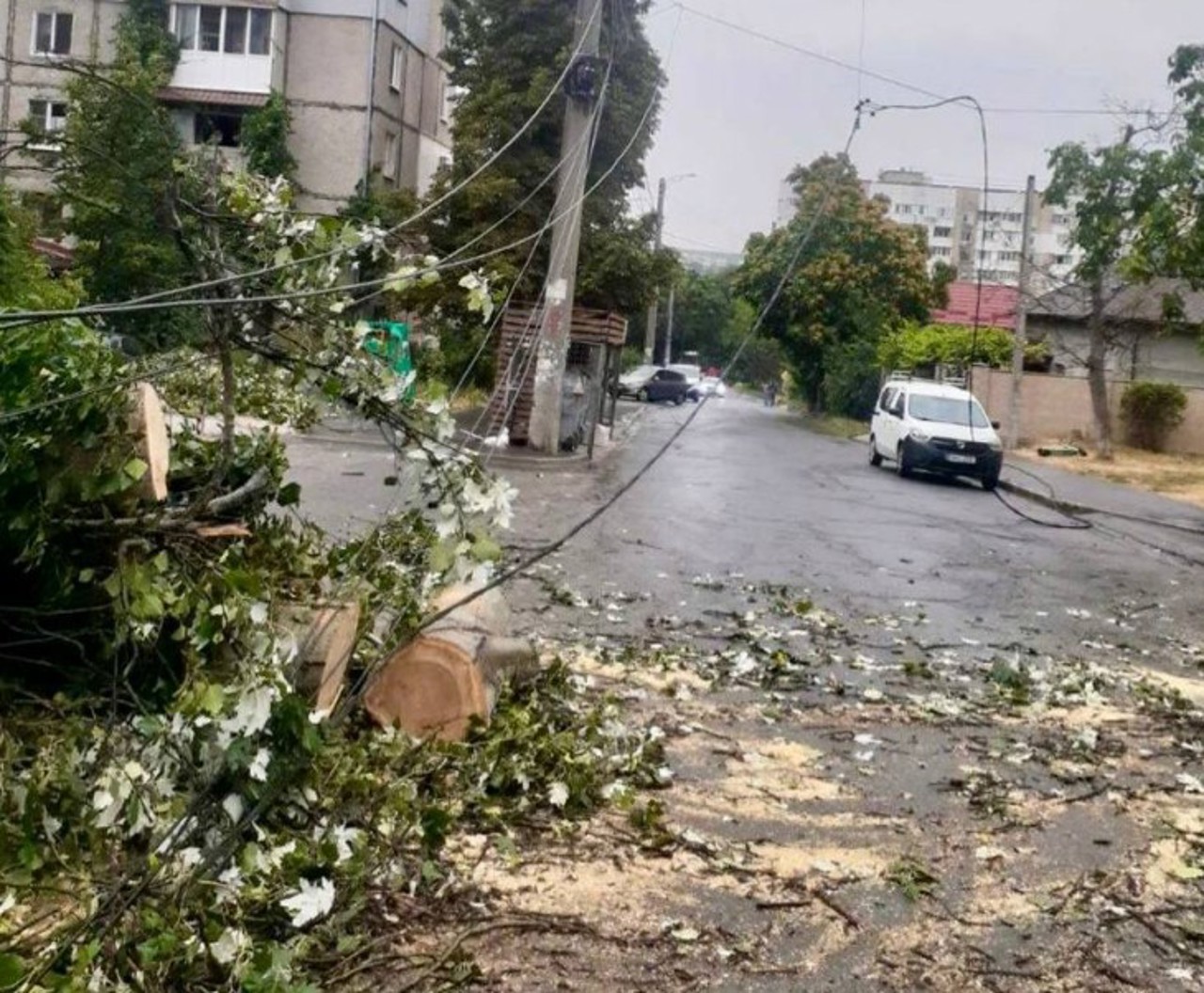 Chișinău: crengi rupte, arbori doborâți și străzi blocate în urma ploilor 