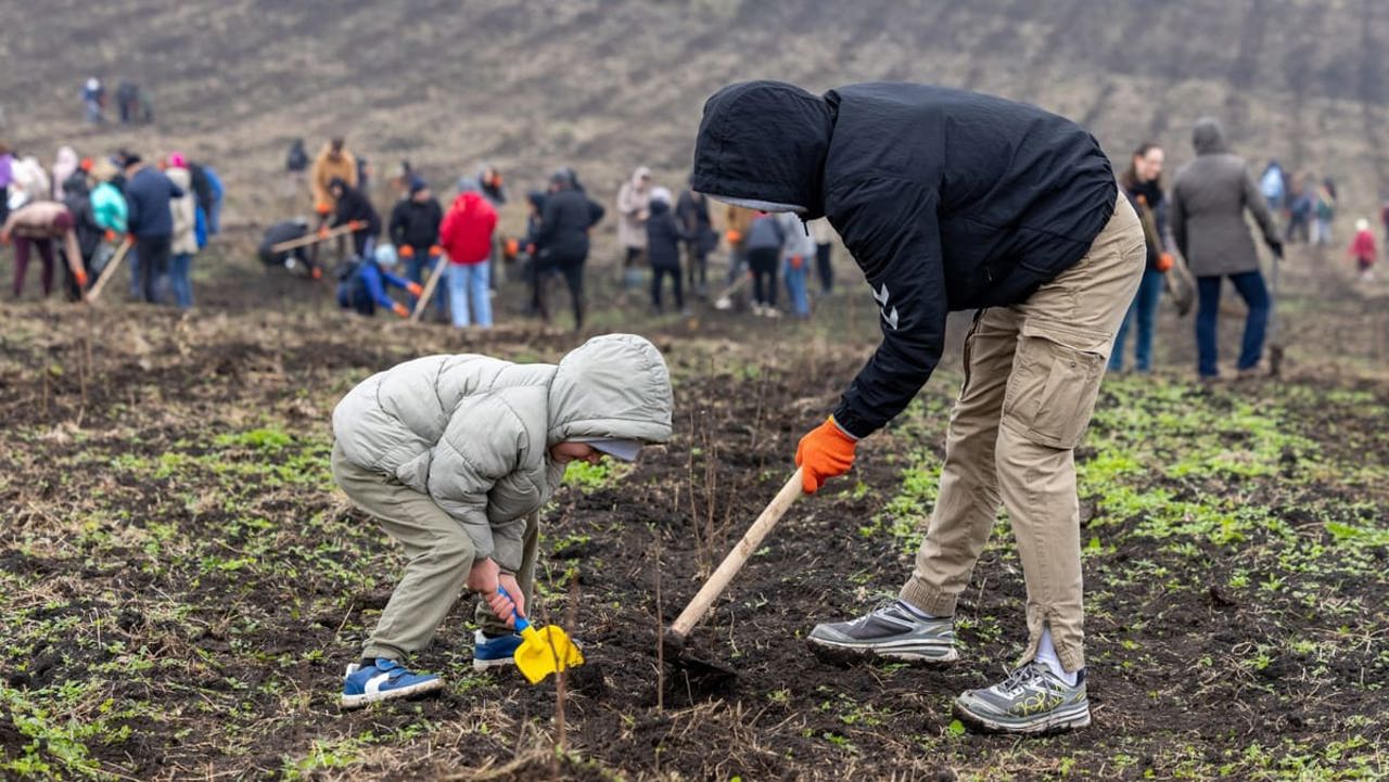 7.200 de hectare vor fi împădurite în această primăvară. Autoritățile investesc în modernizarea pepinierelor
