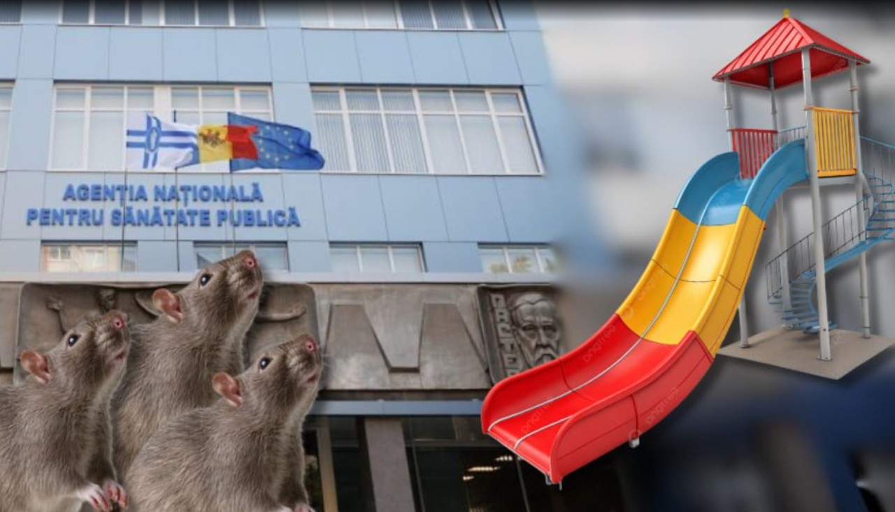 Invazie de șobolani în preajma unui complex locativ din centrul Chișinăului: Locatarii cer intervenția autorităților