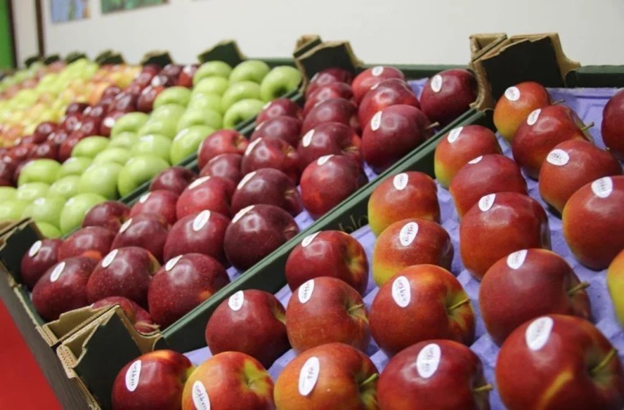 Tarife mai mari pentru transportul feroviar de mărfuri. Competitivitatea exporturilor moldovenești va fi afectată, spun specialiștii 