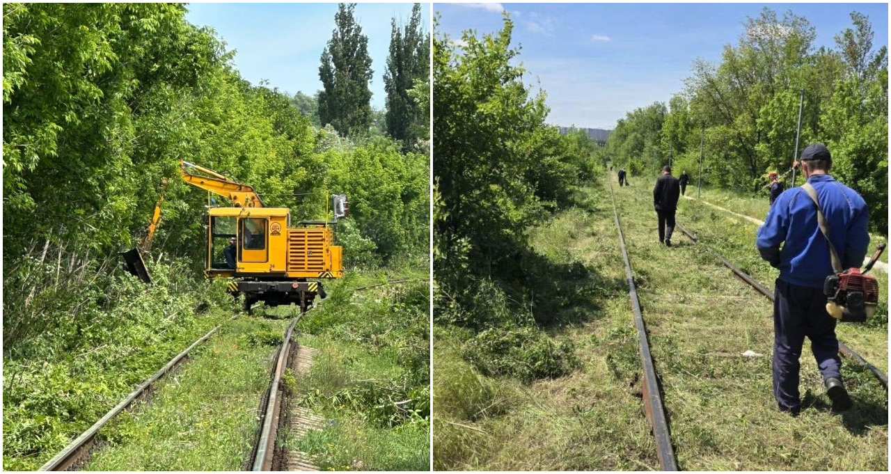 CFM curăță traficul feroviar în zonele cu vizibilitate redusă: Cetățenii sunt rugați să nu arunce deșeuri în apropierea căii ferate