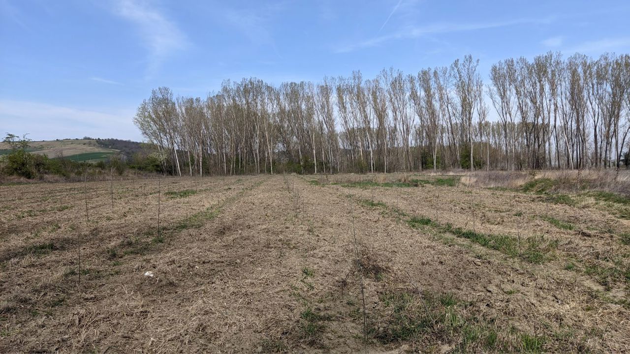 Eroziunea solului s-a accentuat alarmant în ultimele decenii, avertizează experții