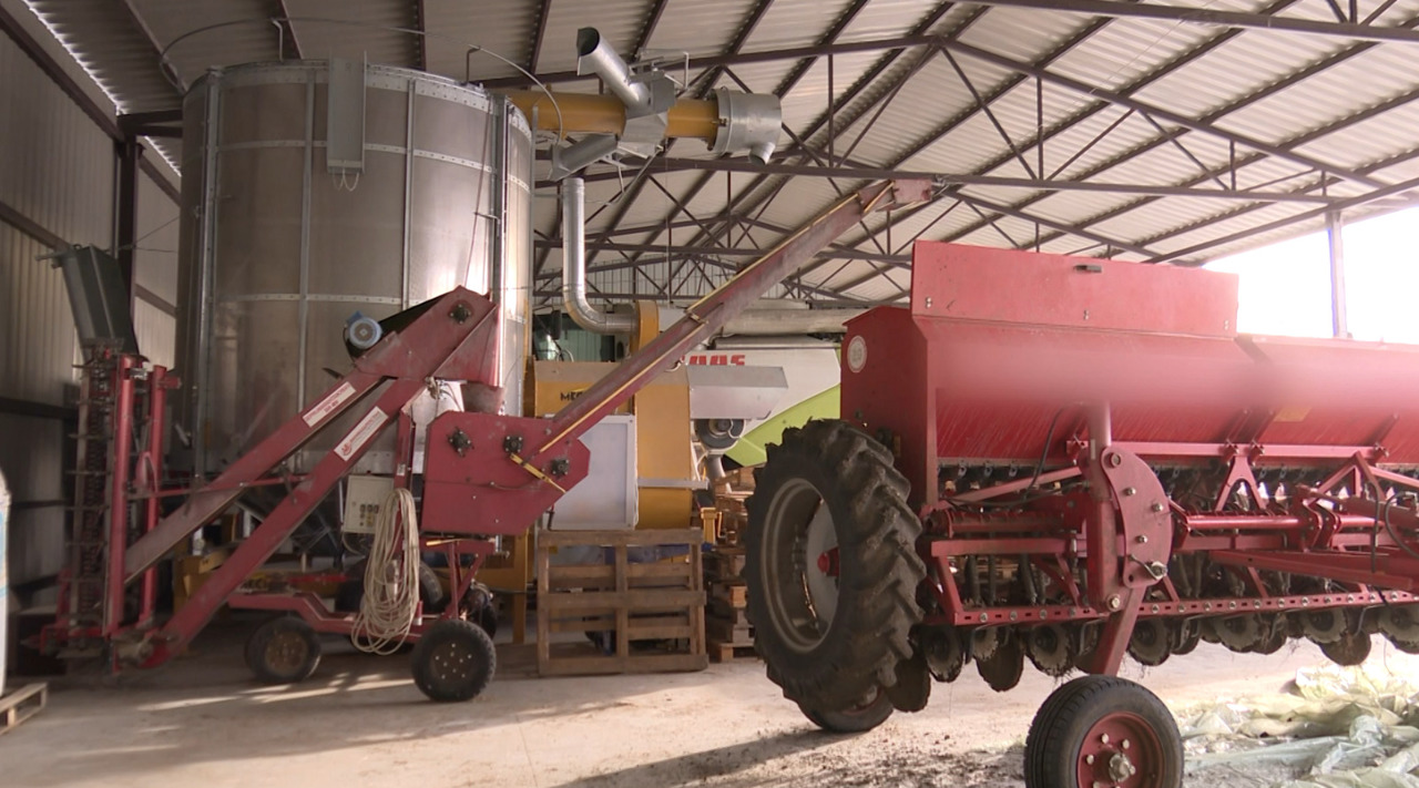 Agricultură diversificată: cum s-a asigurat un fermier din Valea Perjei că nu va fi niciodată în pierdere, în pofida calamităților naturale