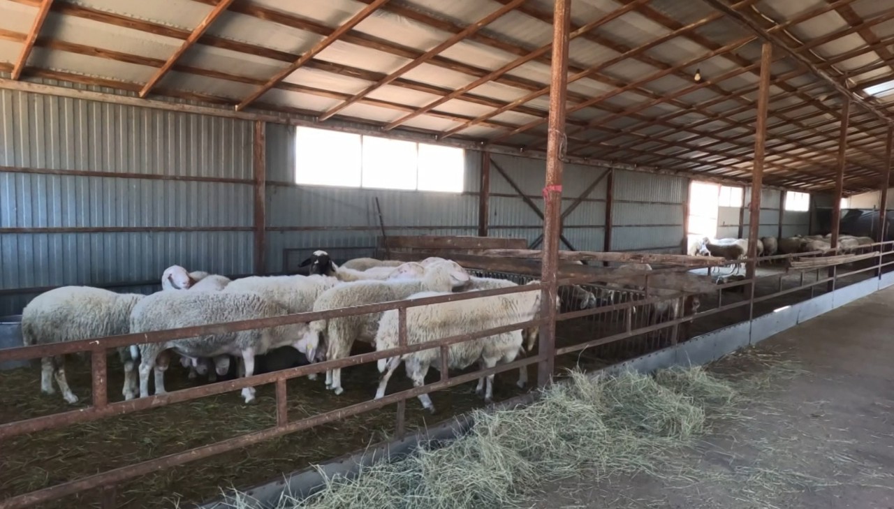 Cu panouri fotovoltaice, exemplul unui fermier din raionul Orhei 