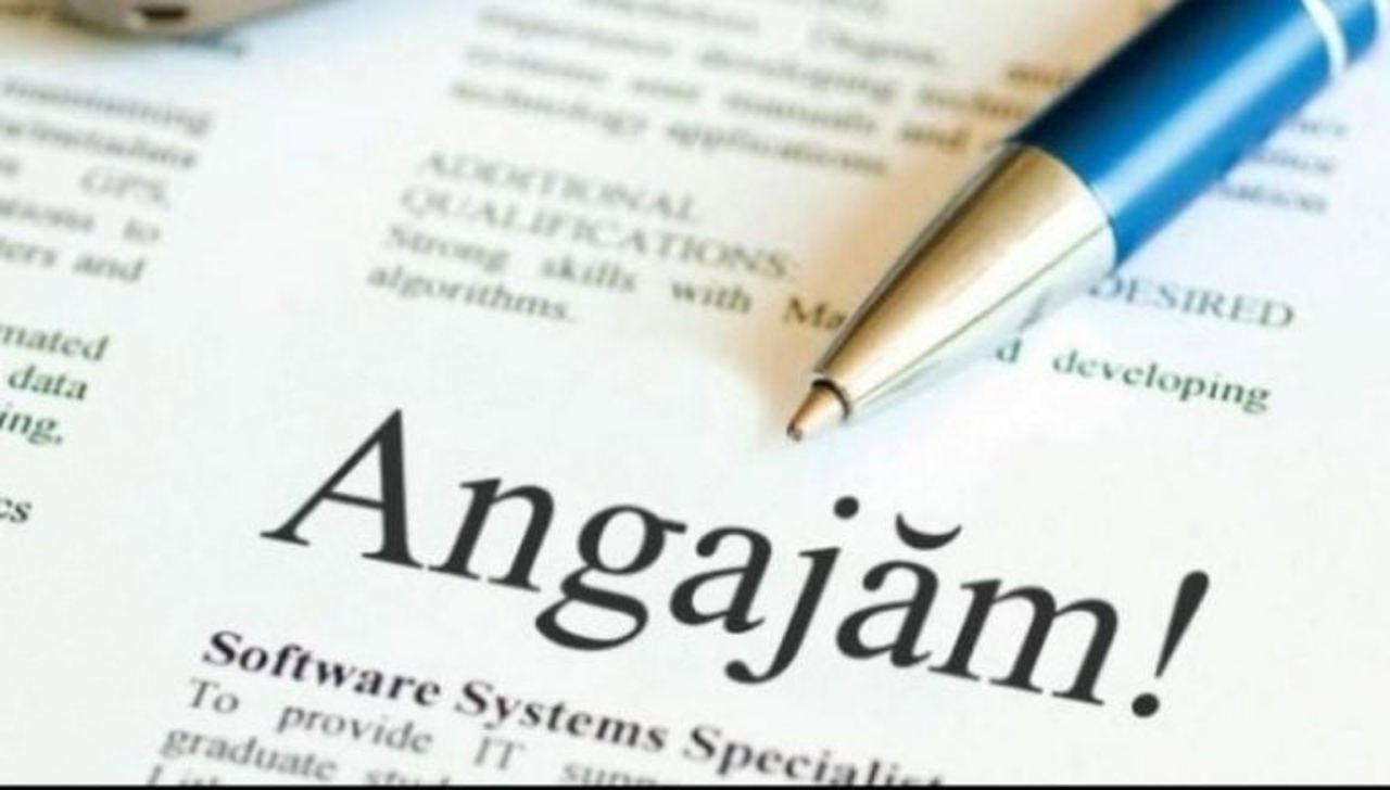 Piața muncii în 2025: 20.000 de angajări, peste 9.000 de locuri vacante gestionate de ANOFM