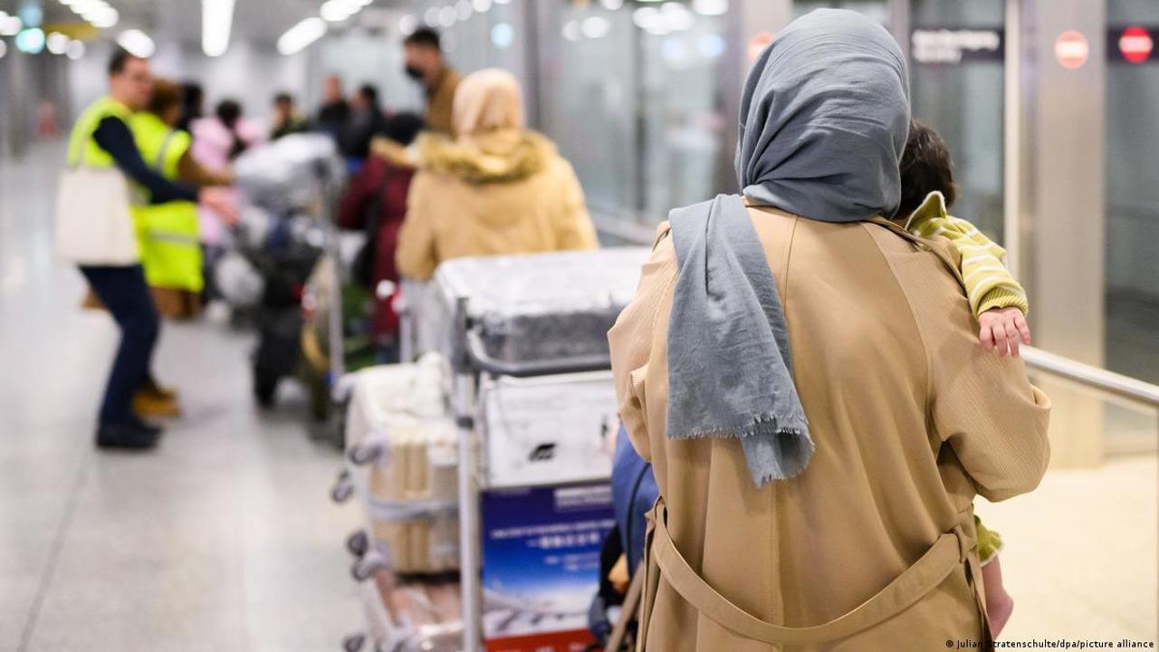 Число заявлений на убежище в Европе за первое полугодие снизилось на 17%
