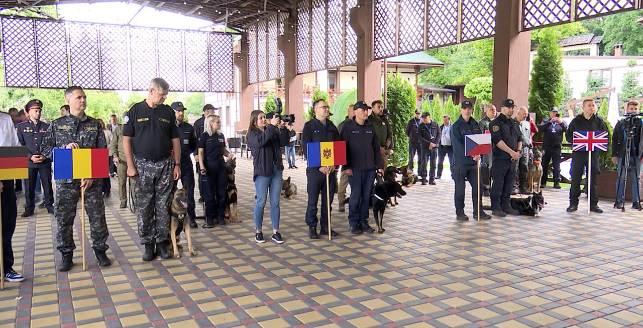 Competiție internațională: câinii detectivi în lupta împotriva contrabandei cu tutun