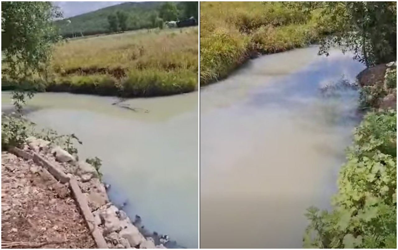 „Apa din râu e ca laptele și cu miros de canalizare”: Dezastru ecologic la Bălțata, investigat de inspectorii de mediu