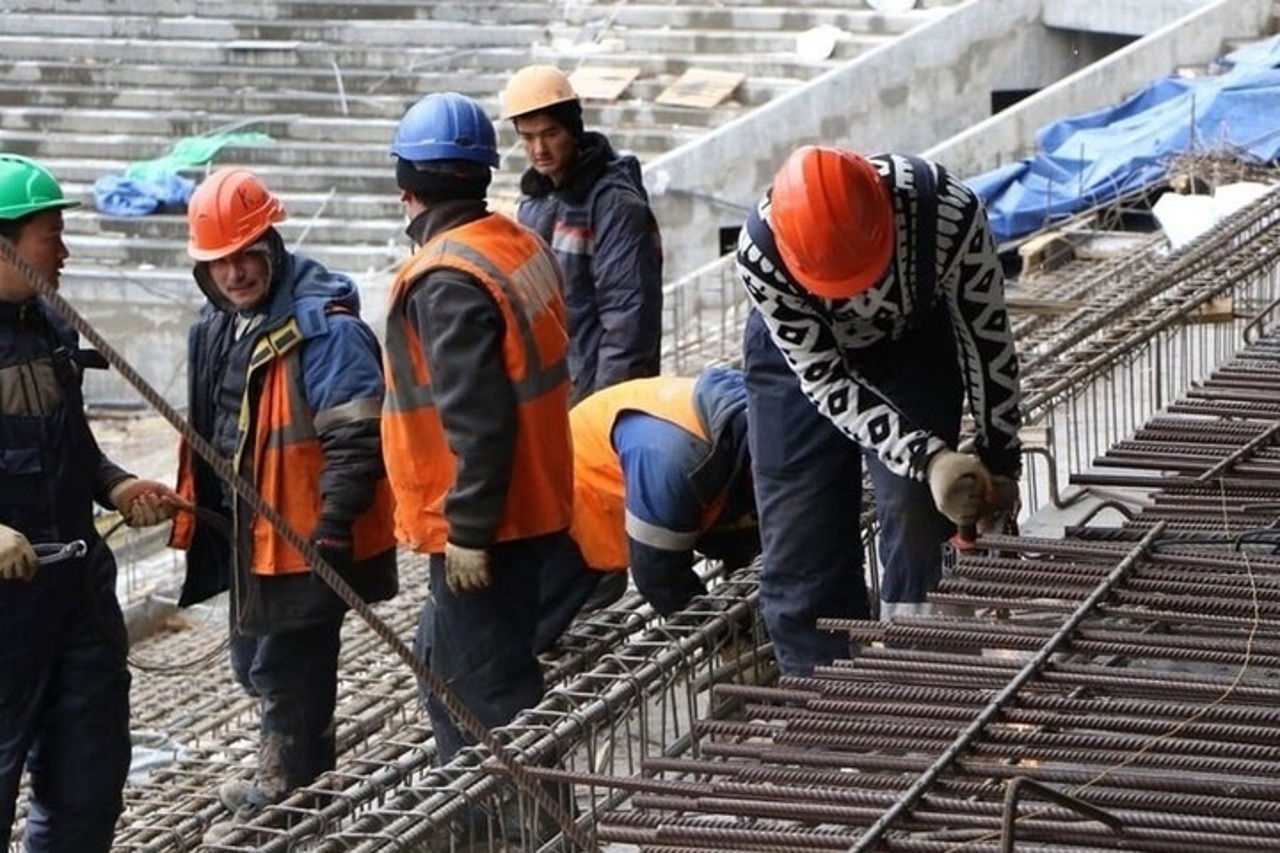 Putin a admis posibilitatea anulării sistemului de patente pentru migranți