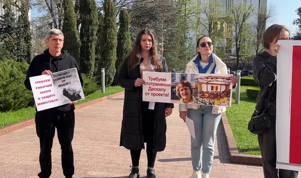 Protest la Parlament: activiștii cer autorităților să revizuiască legea protecției animalelor 
