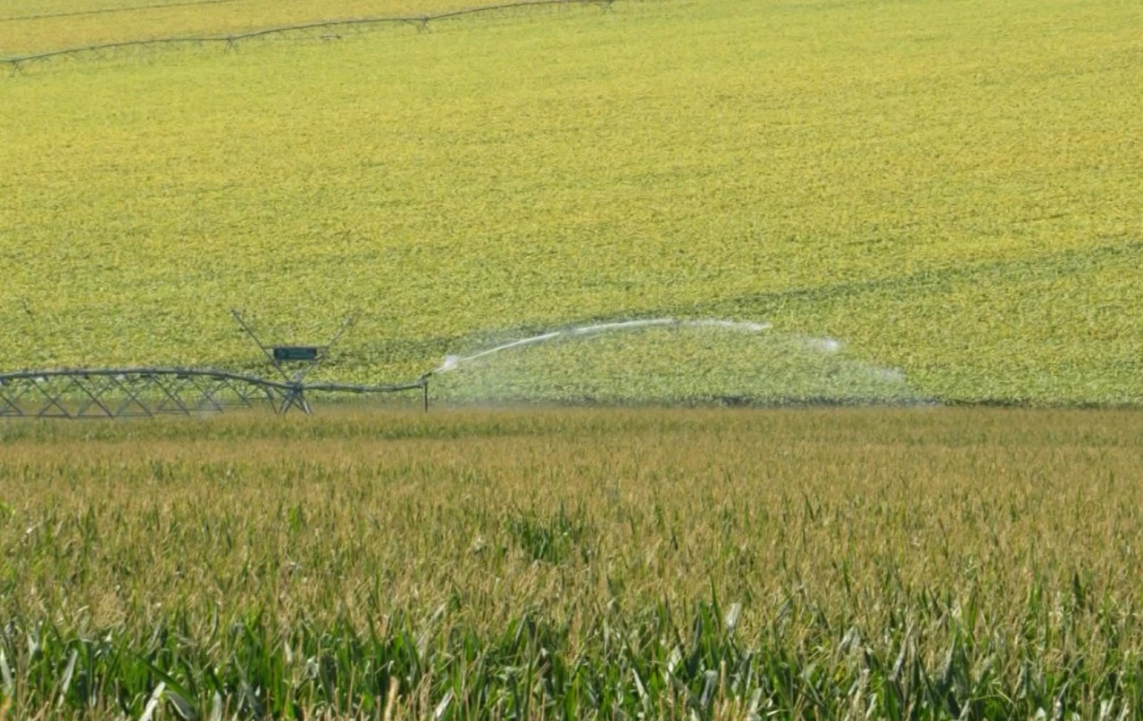 Investiție de 114.8 milioane de euro: Aproape 7.000 de hectare de teren agricol vor putea fi irigate cu sisteme moderne