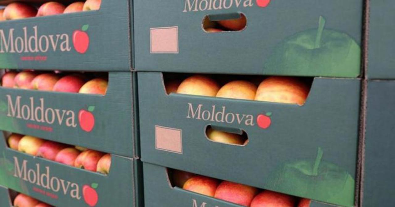 Acord între ANSA și Serviciul Vamal: Produsele agricole perisabile, care sunt exportate din Republica Moldova, vor fi vămuite în mod prioritar