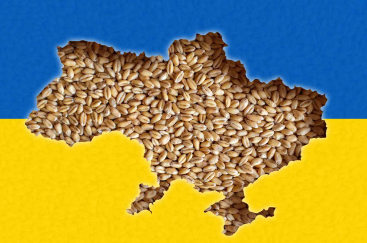 Experți: Tranzitul cerealelor ucrainene ar trebui planificat astfel încât să nu afecteze exporturile moldovenești
