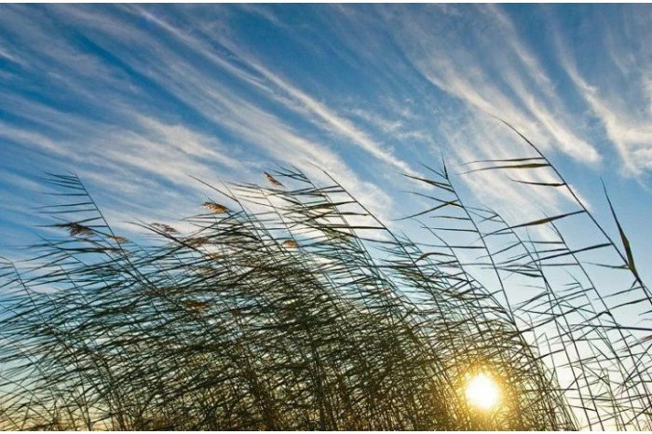 Avertizare meteo: Cod galben de vânt în următoarele două zile