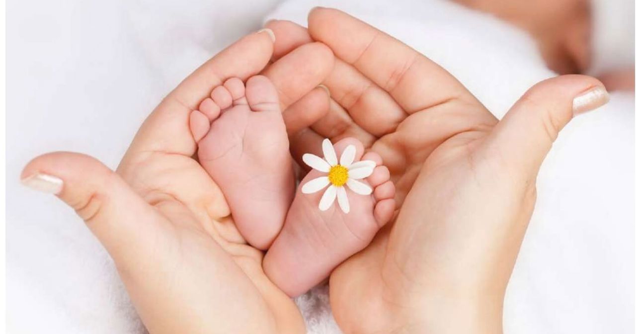 Исполнительная власть дала положительное заключение на законодательную инициативу об альтернативных услугах по уходу за детьми