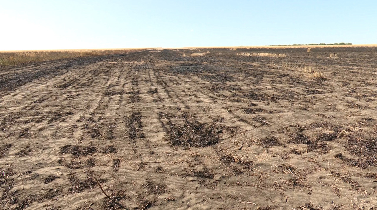 Cimișlia: 17 hectare de grâu și 43 de miriște, distruse de flăcări. Cauza incendiului, necunoscută