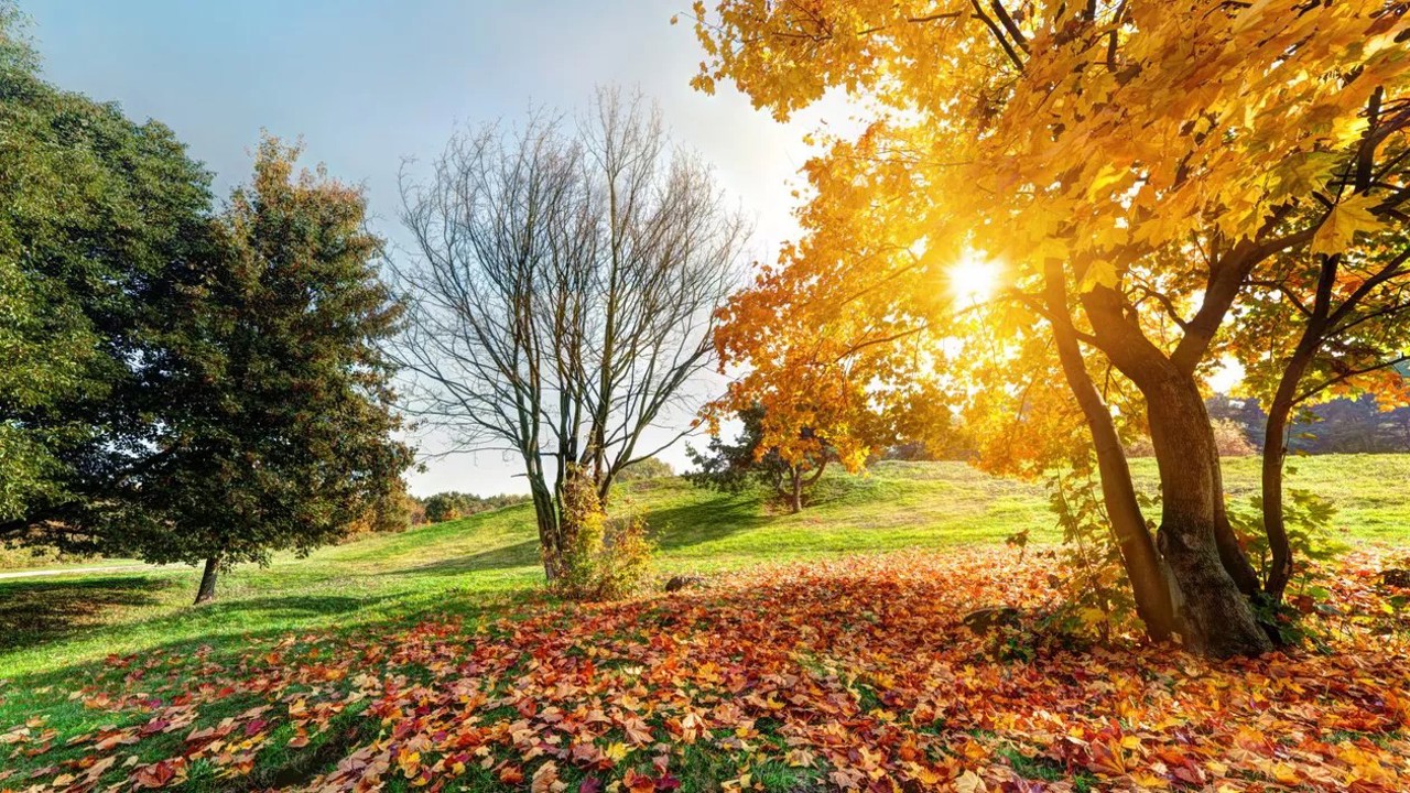 Meteorologists announce warm weather and no rain