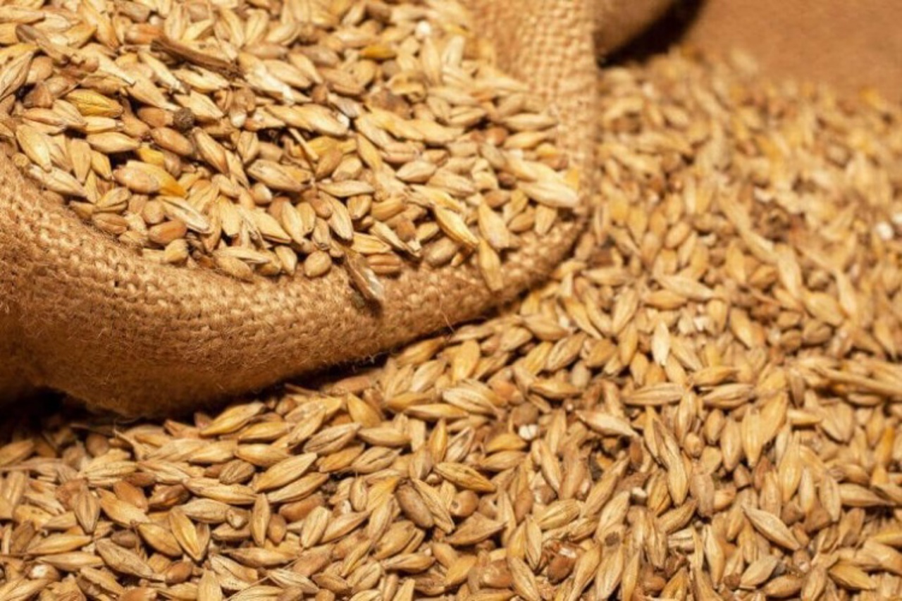 Statul va oferi credite producătorilor de cereale pentru a acoperi cheltuielile la lucrările agricole