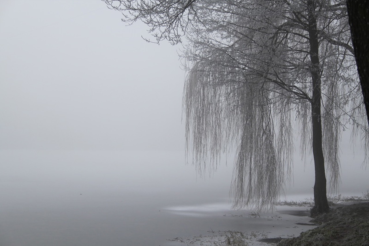 Синоптики объявили желтый код из-за густого тумана