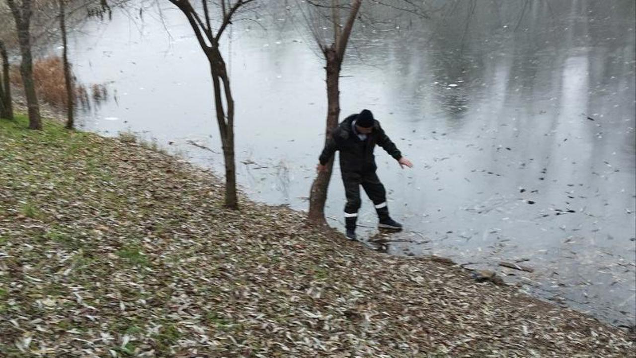 Atenție, gheață fragilă! Părinții sunt îndemnați să-și supravegheze copiii