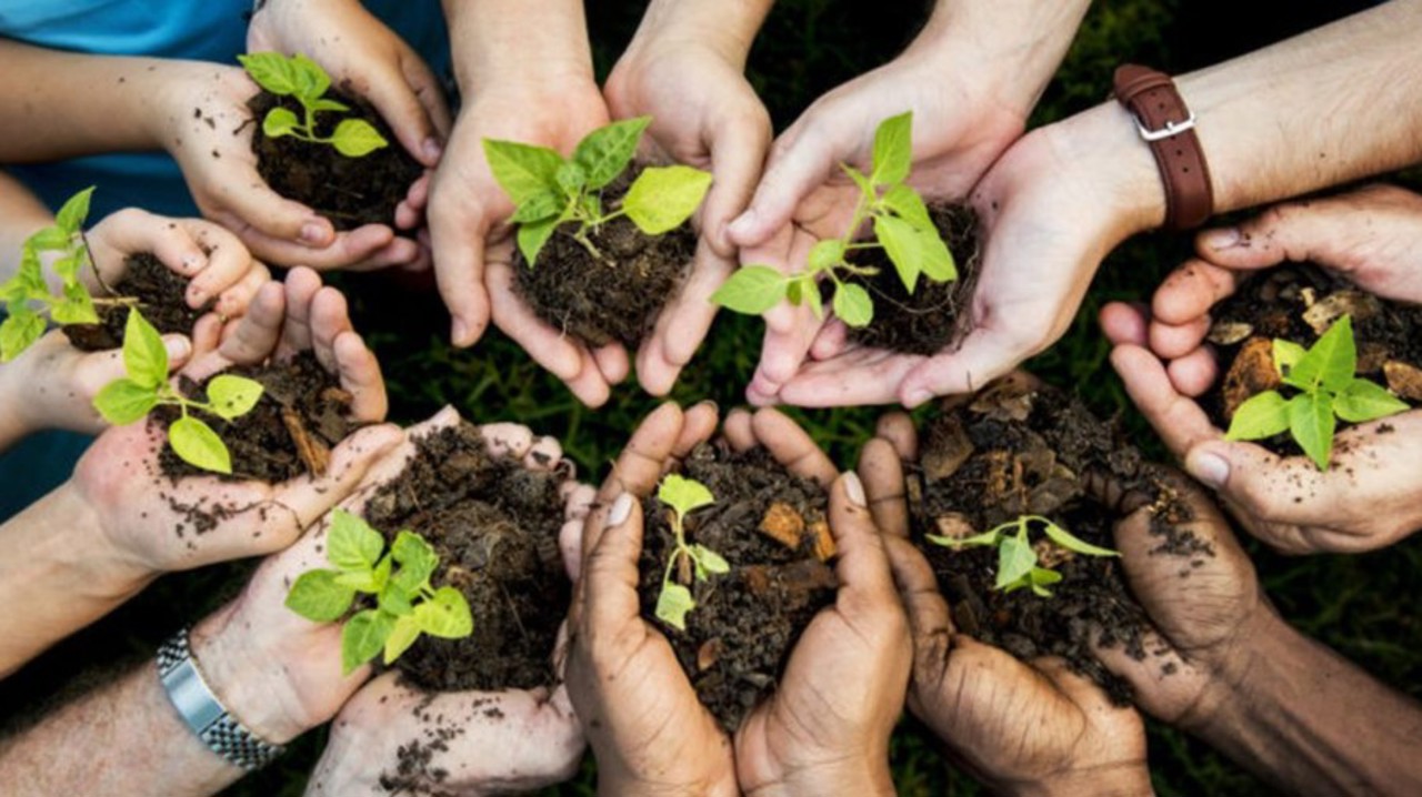 Sudul R. Moldova va beneficia de investiții pentru împădurire și susținerea femeilor în agricultură