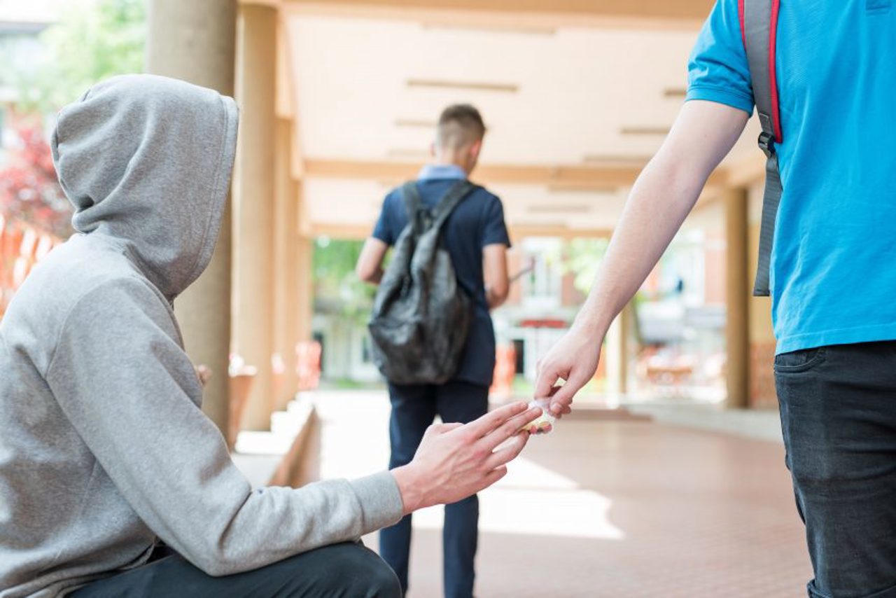 Education Minister urges students and teachers to report drug use and trafficking