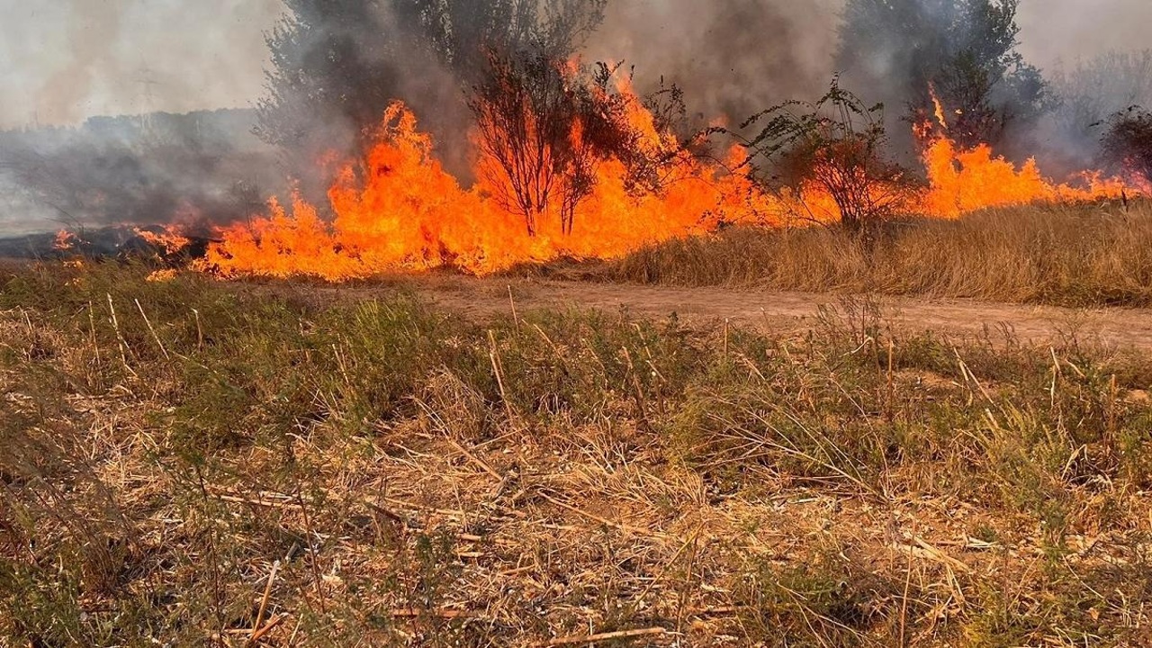 Un aparat de zbor neidentificat, prăbușit la Talmaza: Explozia a provocat un incendiu de vegetație 