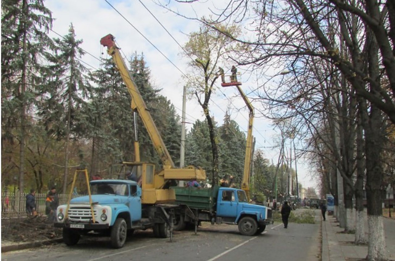 Движение транспорта в центре столицы остановлено в связи с проведением работ по очистке деревьев