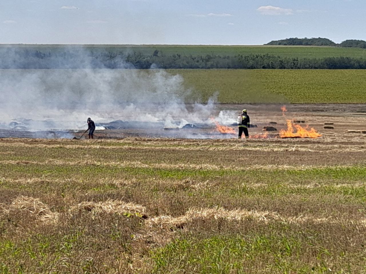 Pompierii au intervenit în peste 70 de cazuri de incendii de vegetație în ultimele 24 de ore