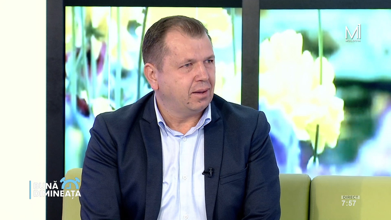 „Oameni care nu au văzut în viața lor un kiwi”: Banca de Alimente livrează produse către 105 servicii sociale