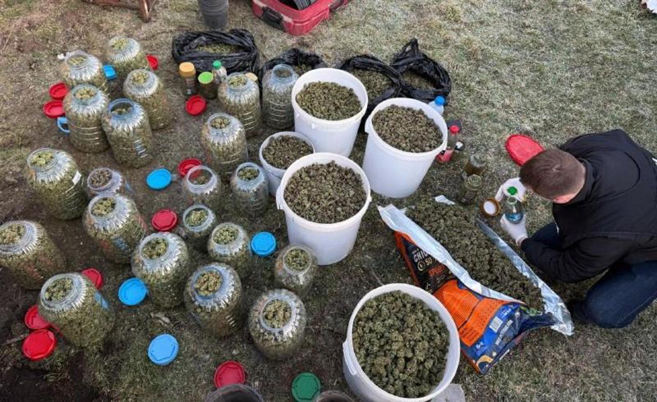 В Новоаненском районе изъяли более 40 кг марихуаны на 14 млн леев