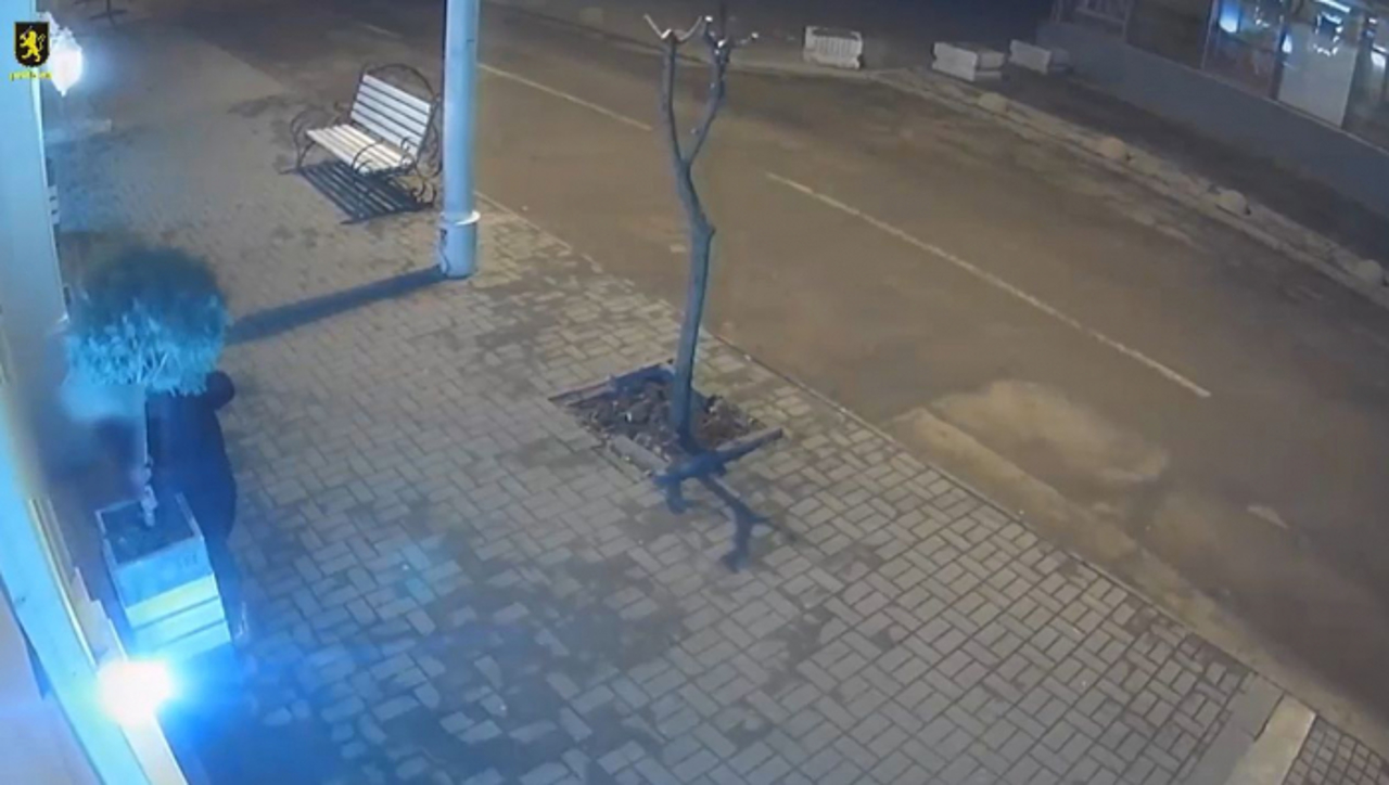 Трое мужчин задержаны за кражу декоративных деревьев из центра столицы