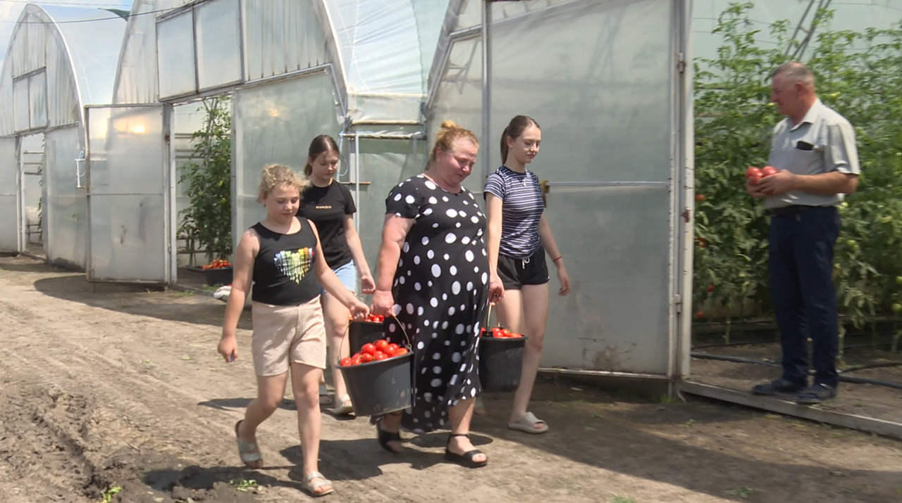 Family business in Brăviceni modernized with EU funds