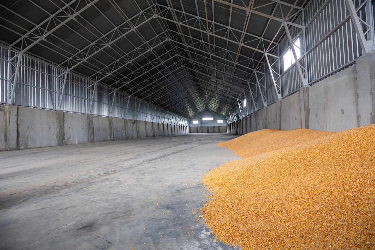 Moldova extends grain import licensing through 2026 