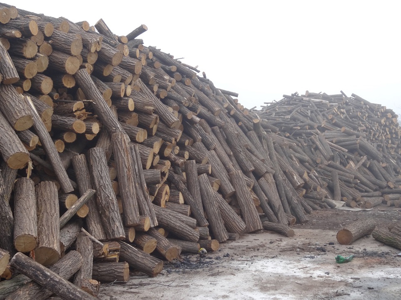 Ukraine is preparing for winter. International donor organizations will distribute firewood to the people