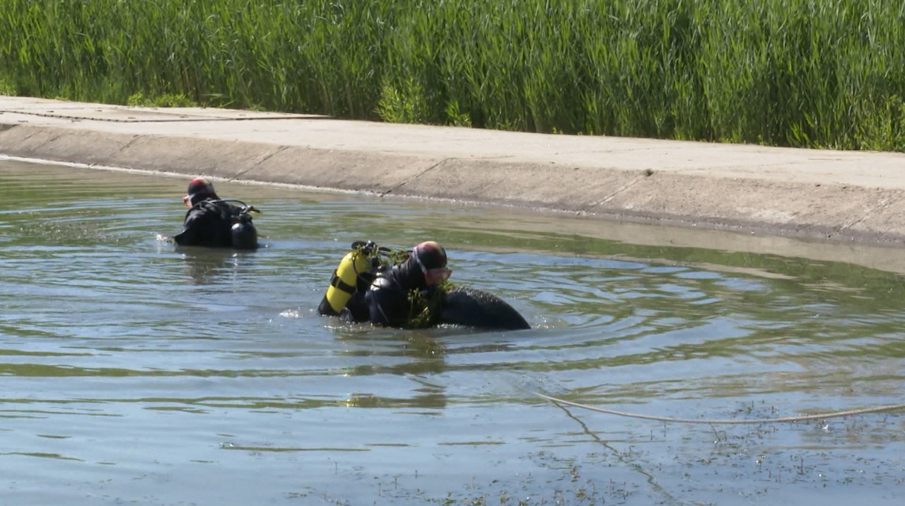 Deșeuri scoase din lacuri: scafandrii curăță zonele de-a lungul plajelor
