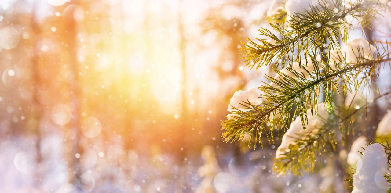 Winter Solstice 2025: When is the shortest day of the year?